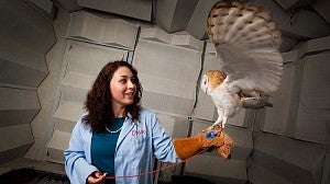Researcher holding owl