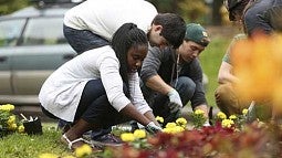 Students planting flowers on University Day