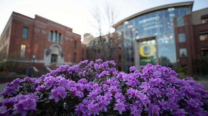 Purple Flowers in front of Lundquist College of Business