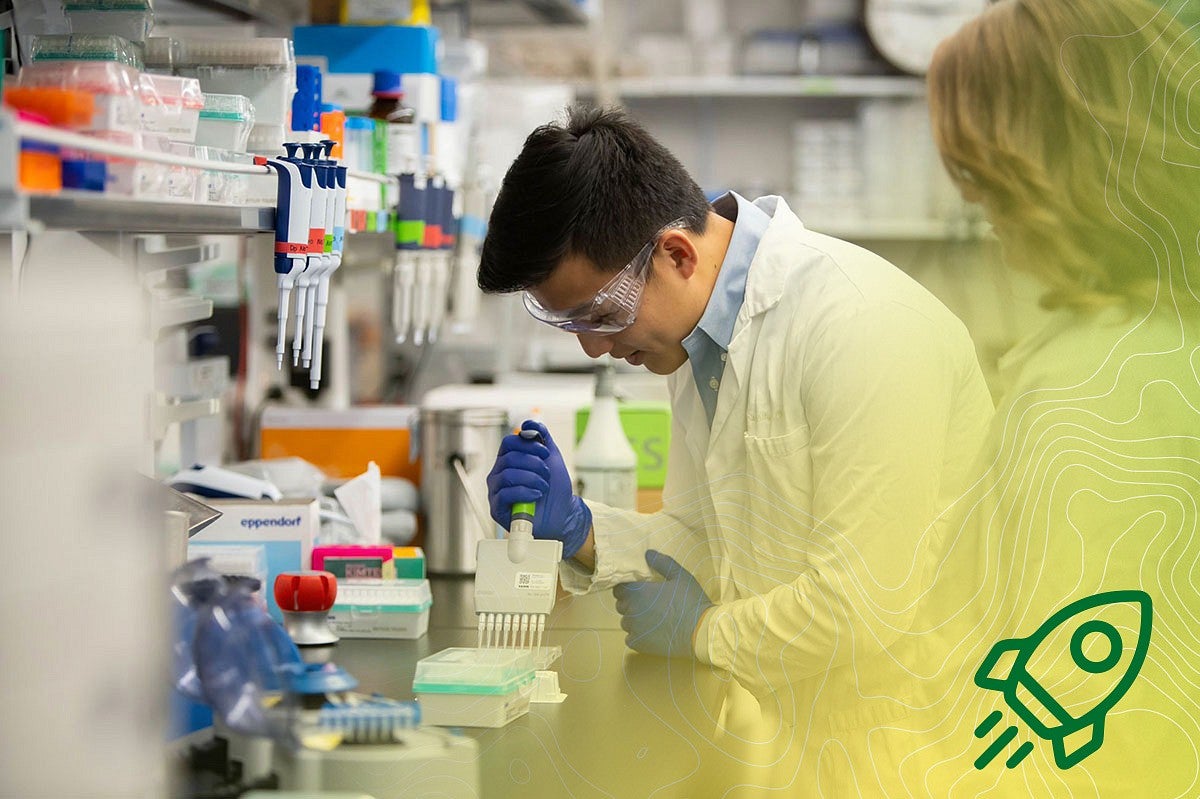 Knight Campus lab worker using multichannel pipettes