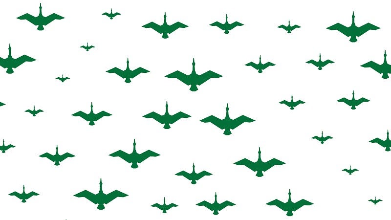 green silhouettes of birds flying overhead