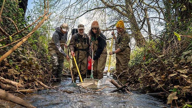 people in waders standing in a stream using pole nets