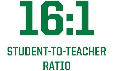 statistic showing big number style,16:1 student-to-teacher ratio