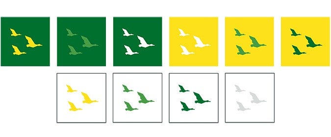 example of color combinations of the soaring ducks pattern