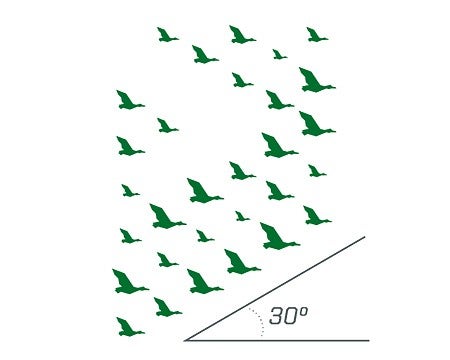 example of soaring ducks pattern cropped at an angle