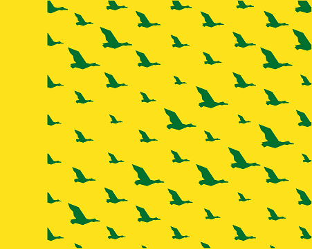 example of how not to crop the soaring ducks pattern