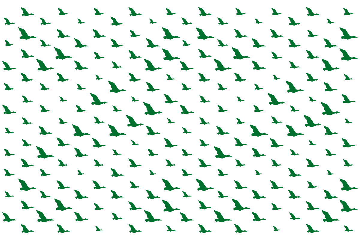 white background with green soaring ducks silhouettes pattern