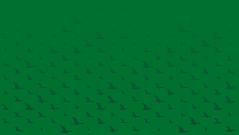 green background color gradient with soaring ducks in darker green