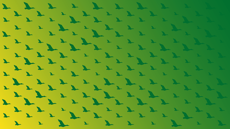 green-yellow background color gradient with soaring ducks in green