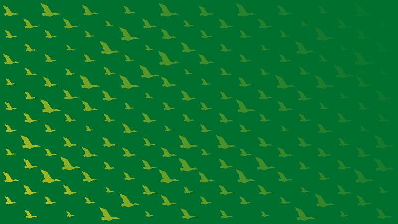 green background color with soaring ducks in yellow-green gradient