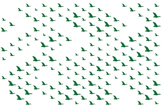 variable soaring duck pattern