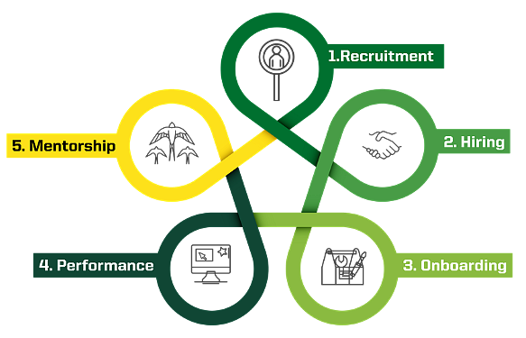 A diagram noting the process of the Academy from recruitment to mentorship
