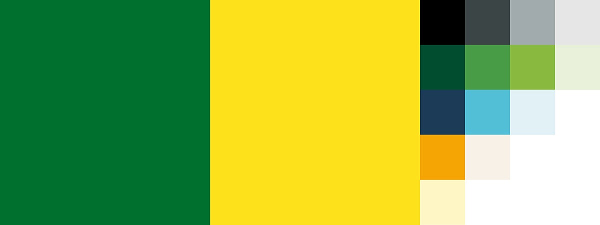 color palette showing UO Green and UO Yellow covering most of the space and secondary colors in small quantities