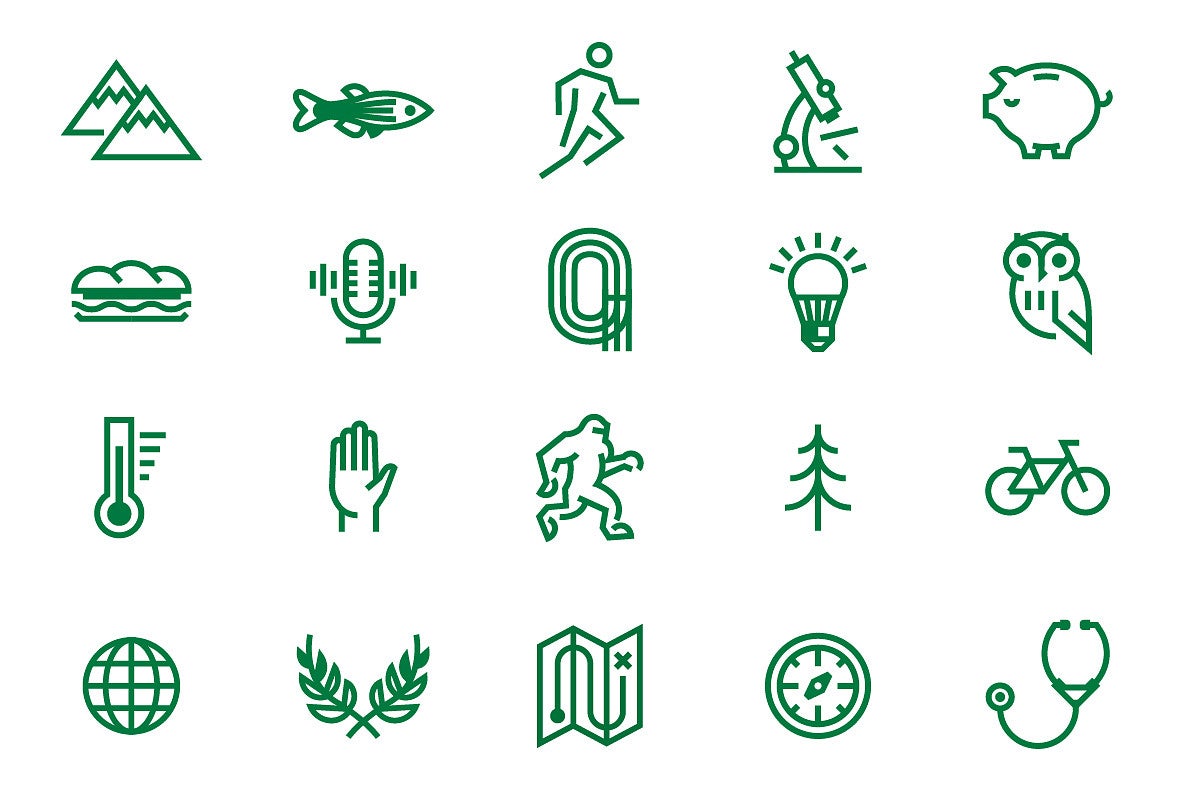 20 example icons include mountains, a fish, a runner, a microscope, and a piggy bank