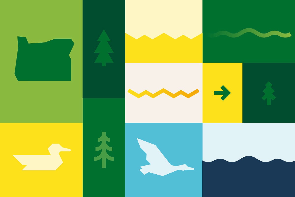 examples of two-tone shape elements including ducks and trees
