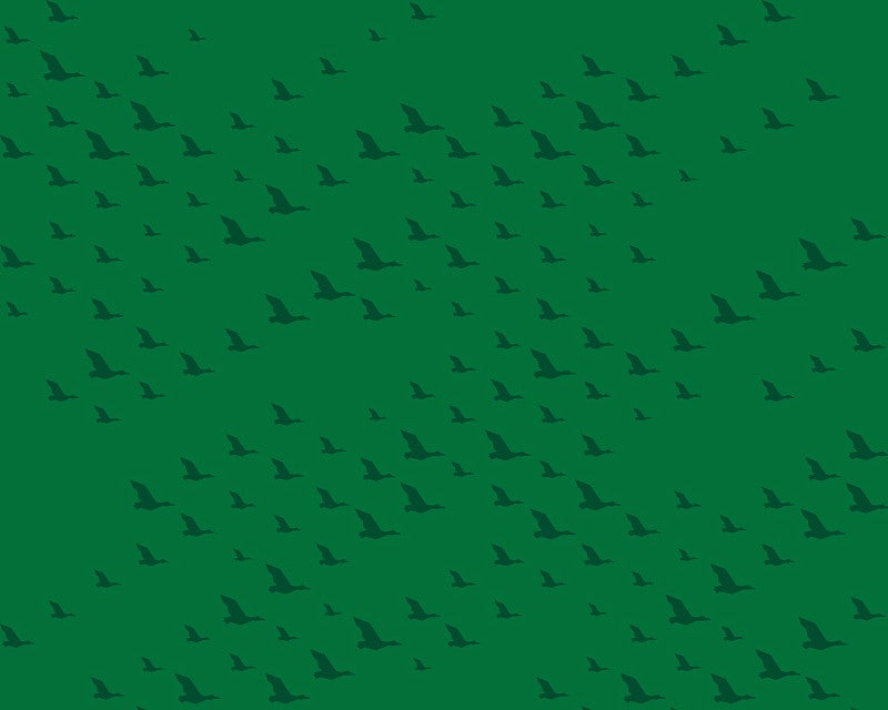 soaring ducks silhouette pattern