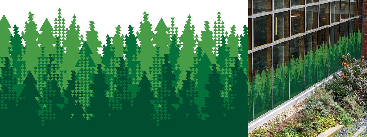 a graphical representation of a pine/fir forest, and this tree pattern affixed to a window
