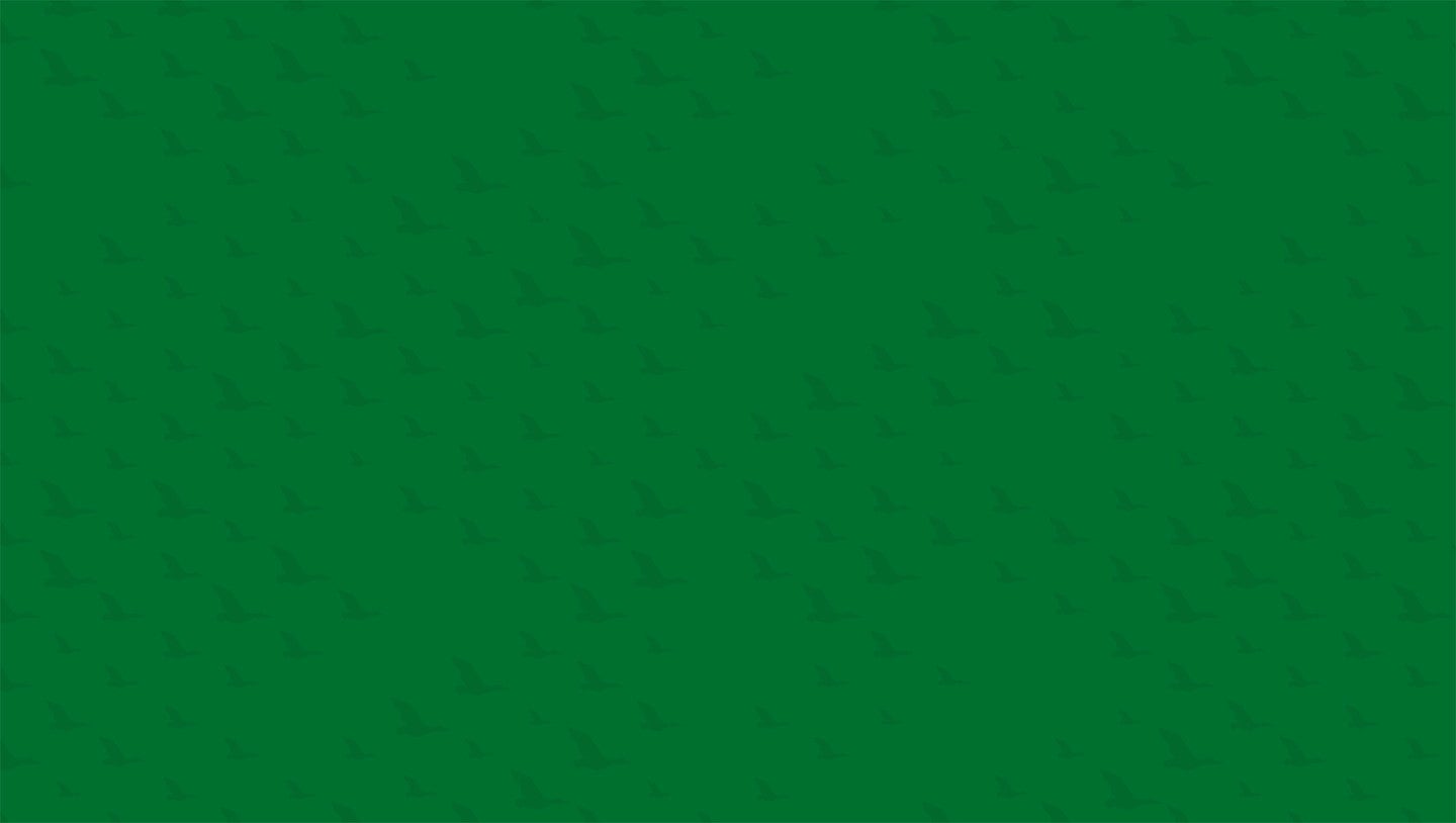 pattern of soaring ducks on a green background