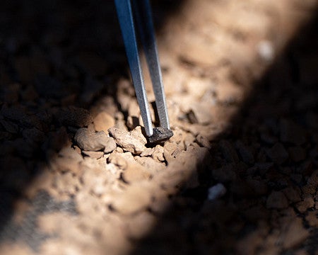  close-up of tweezers picking up a small piece of rock