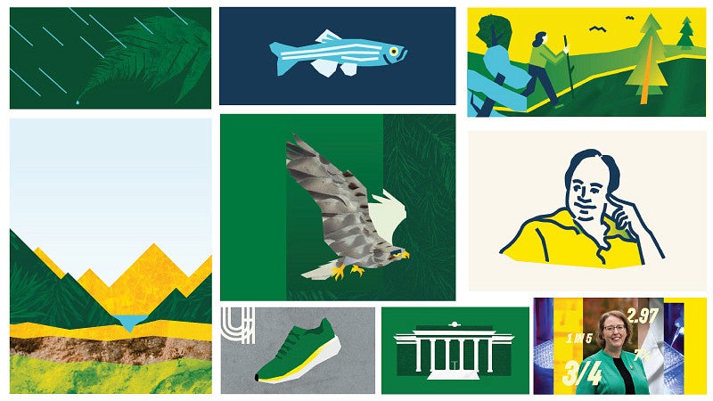 nine example illustrations including a zebra fish, mountains, and a shoe