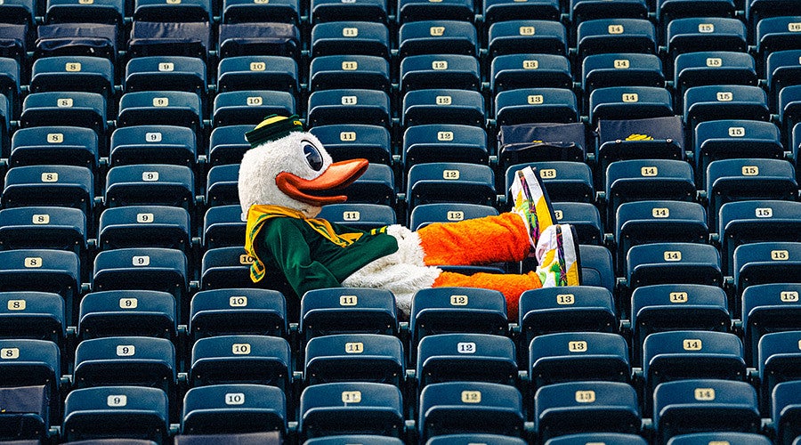 the duck sitting in the stands of blue seats