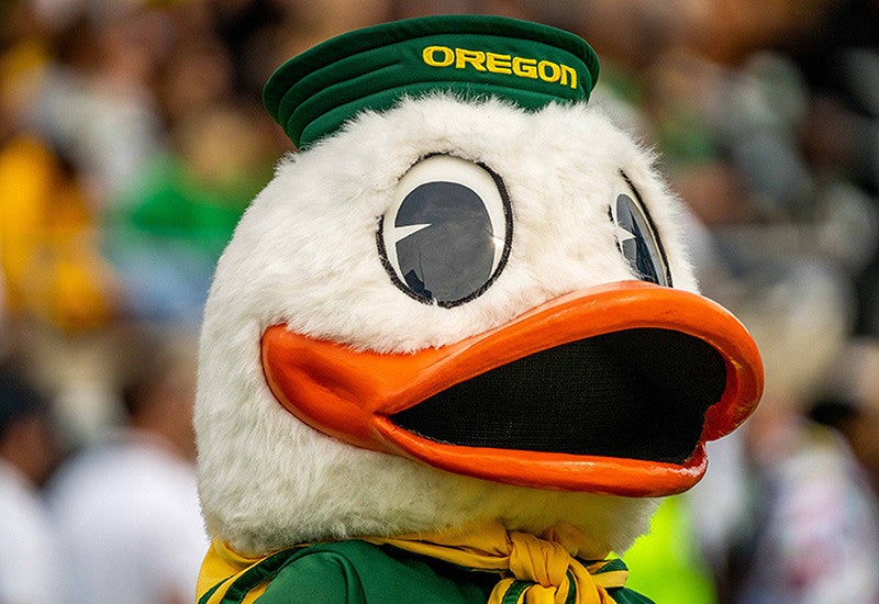 the duck's head