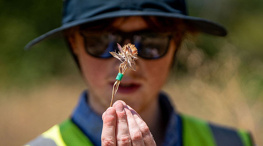 Person holds up a flower to their eyes